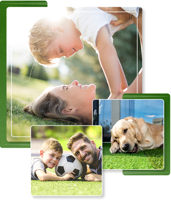 Artificial Turf Synthetic Greenscapes